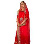 Red Banarsi Rajputi Suit | All Over Sequins & Aari Work | Jaipurio Designer Collection